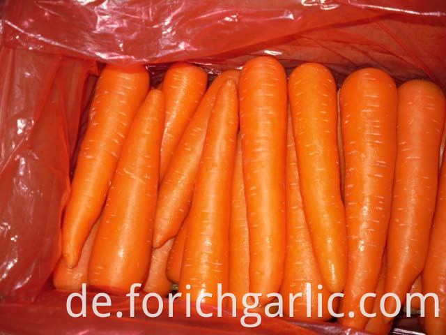 Fresh Carrot